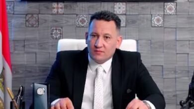 خبير اقتصادي: المنتدى الروسي الإفريقي يعزز الشراكة الاستراتيجية بين الطرفين - إيجي بيزنس 488 0801cd - إيجي بيزنس